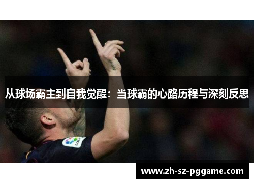 从球场霸主到自我觉醒：当球霸的心路历程与深刻反思