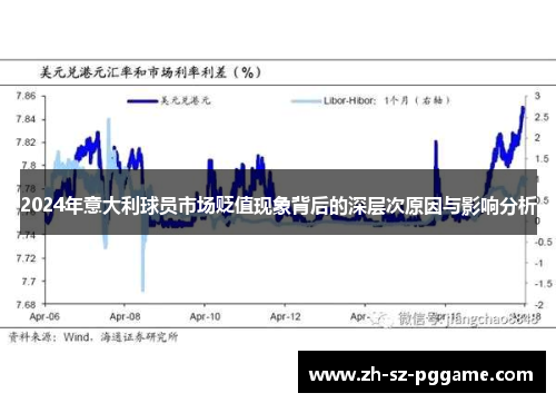 2024年意大利球员市场贬值现象背后的深层次原因与影响分析