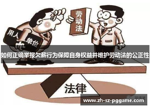 如何正确举报欠薪行为保障自身权益并维护劳动法的公正性