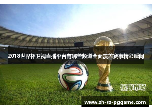 2018世界杯卫视直播平台有哪些频道全面覆盖赛事精彩瞬间