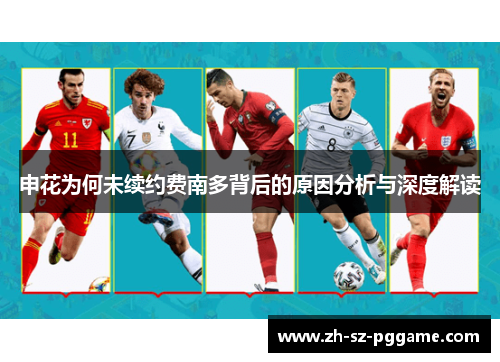 申花为何未续约费南多背后的原因分析与深度解读