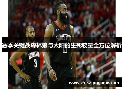 赛季关键战森林狼与太阳的生死较量全方位解析 赛季关键战森林狼与太阳的生死较量全方位解析