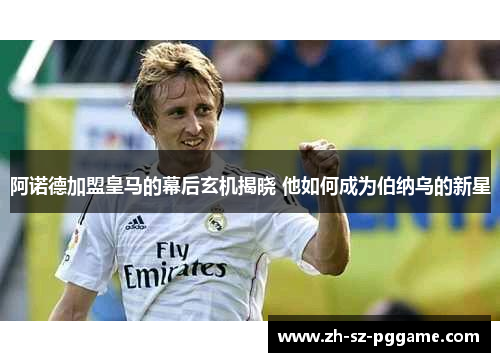 阿诺德加盟皇马的幕后玄机揭晓 他如何成为伯纳乌的新星