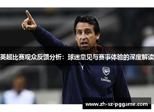 英超比赛观众反馈分析：球迷意见与赛事体验的深度解读